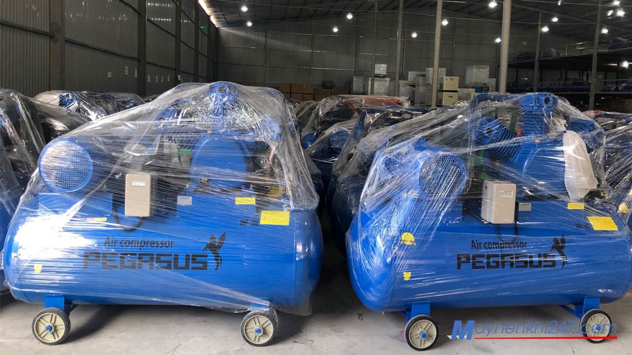 Pegasus có hệ thống phân phối rộng khắp cả nước