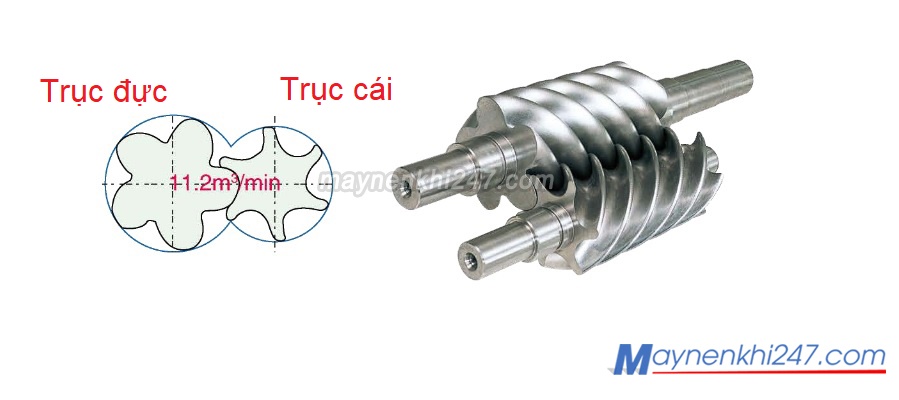 dau-nen-may-nen-khi-truc-vit
