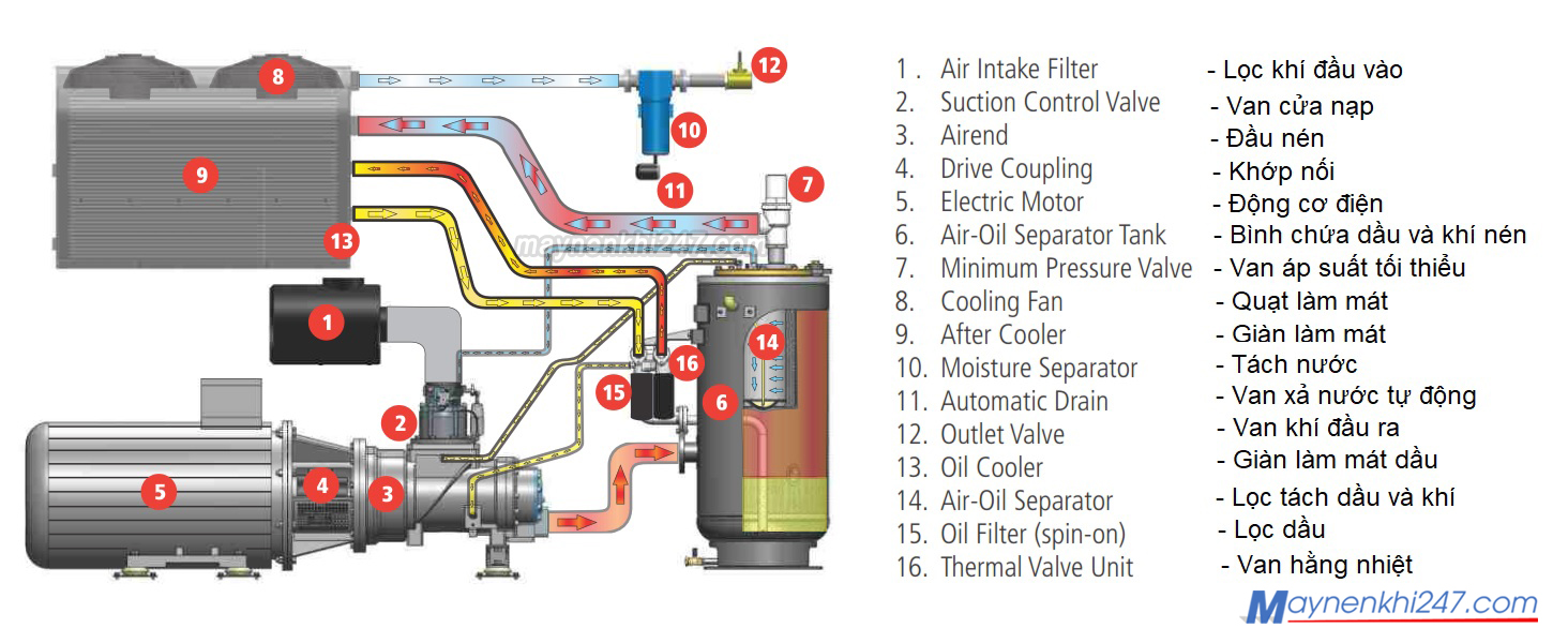 cau-tao-may-nen-khi-truc-vit-co-dau