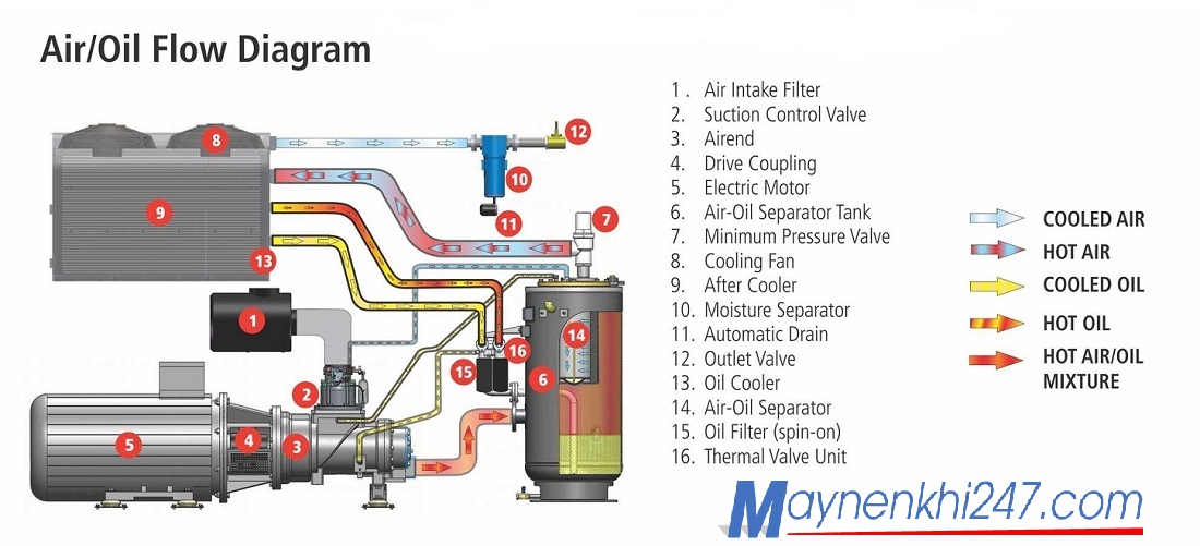 cau-tao-may-nen-khi-truc-vit