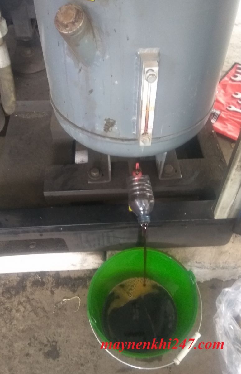 thay-dau-may-nen-khi