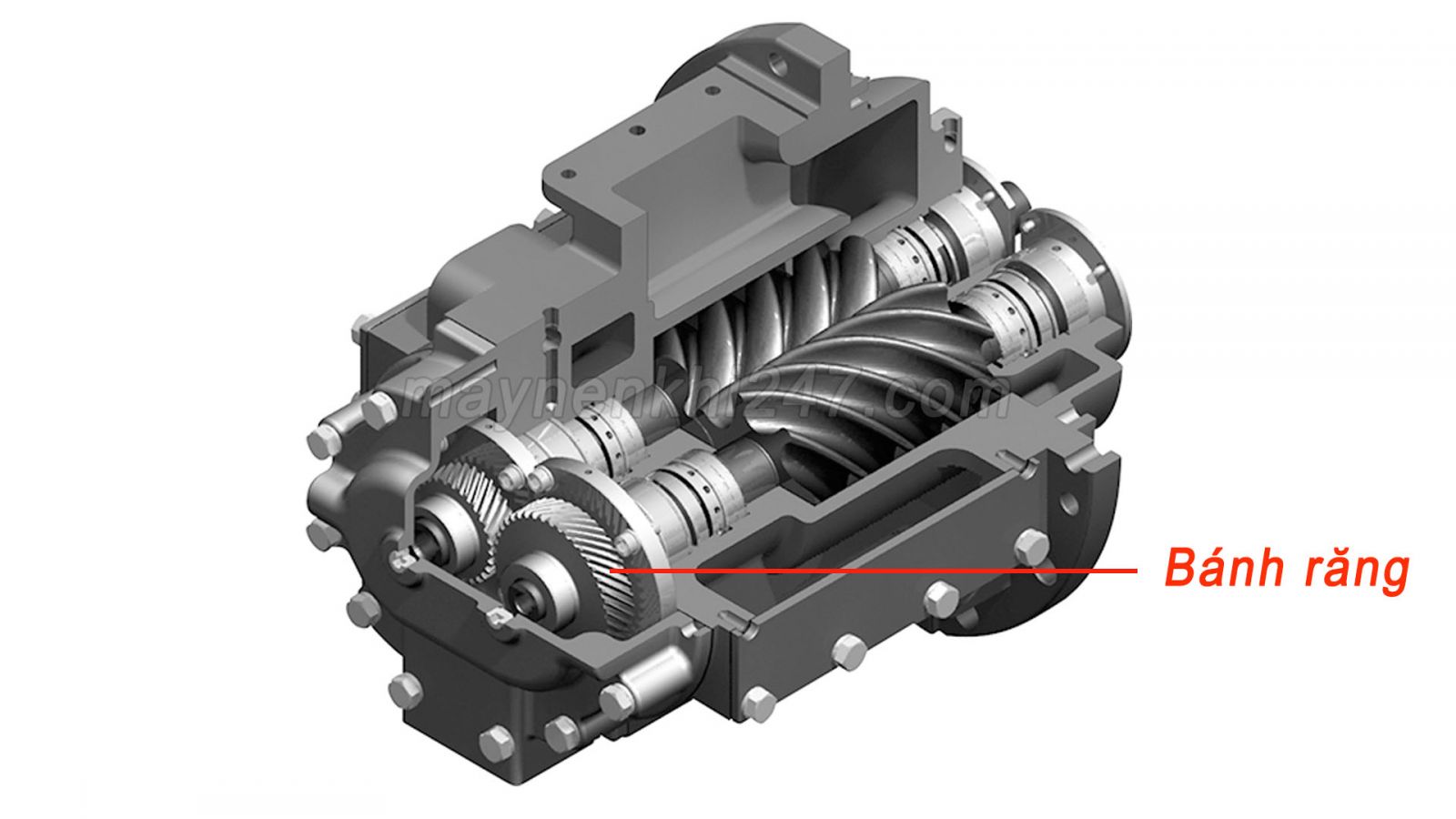 banh-rang-may-nen--khi-truc-vit