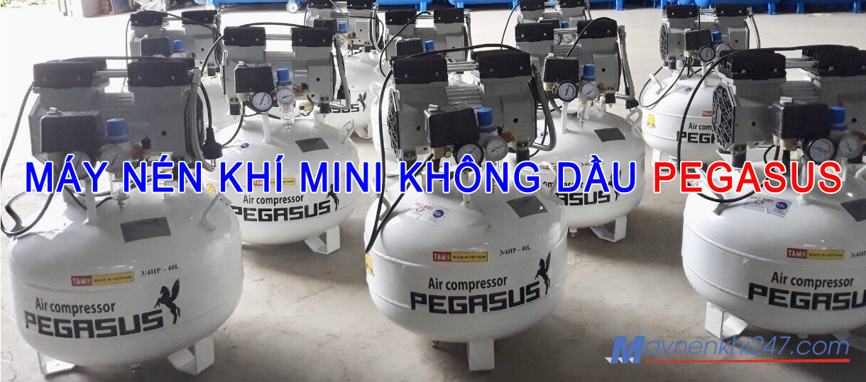 kho-may-nen-khi-mini-khong-dau-pegasus