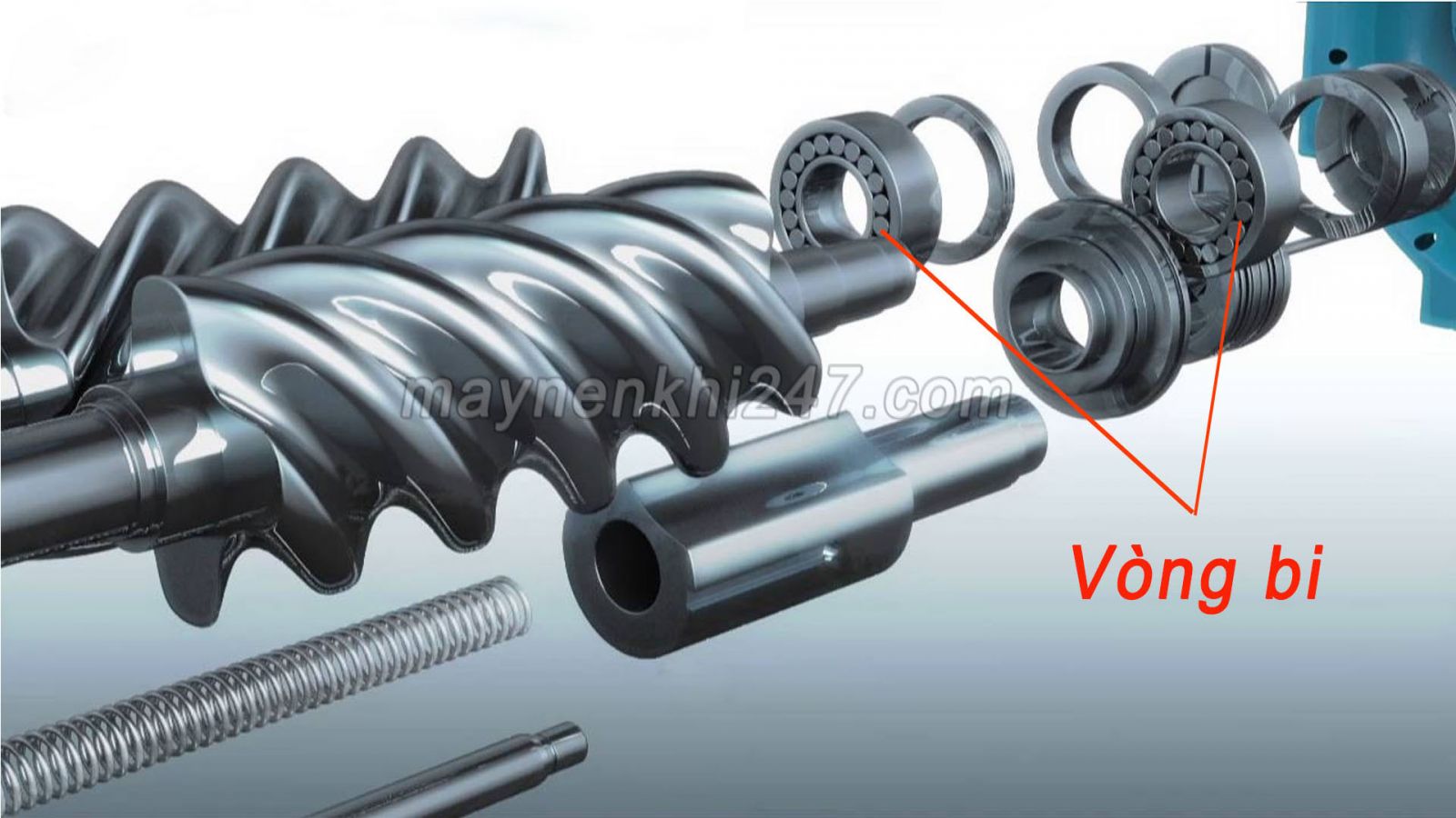 vong-bi-may-nen-khi-truc-vit-cau-tao