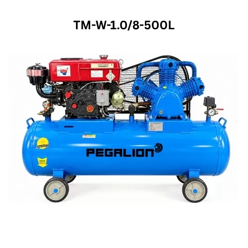 Máy nén khí diesel Pegalion (Pegasus) 7.5kw (10HP) 500L, 8bar TM-W-1.0/8-500L
