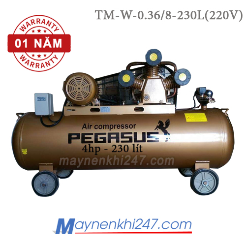 Máy nén khí Pegasus 4 HP, 230l, 8bar, 220V TM-W-0.36/8-230L(220V)