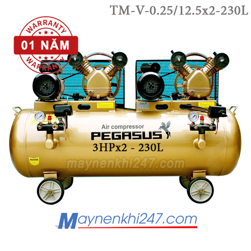 Máy nén khí Pegasus 3HPx2, 230l, 12.5bar, 220V TM-V-0.25/12.5x2-230L