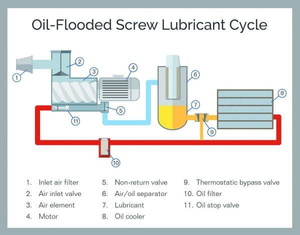 hệ thống quản l&yacute; nhiệt m&aacute;y n&eacute;n kh&iacute; kaeser bsd 75 sfc