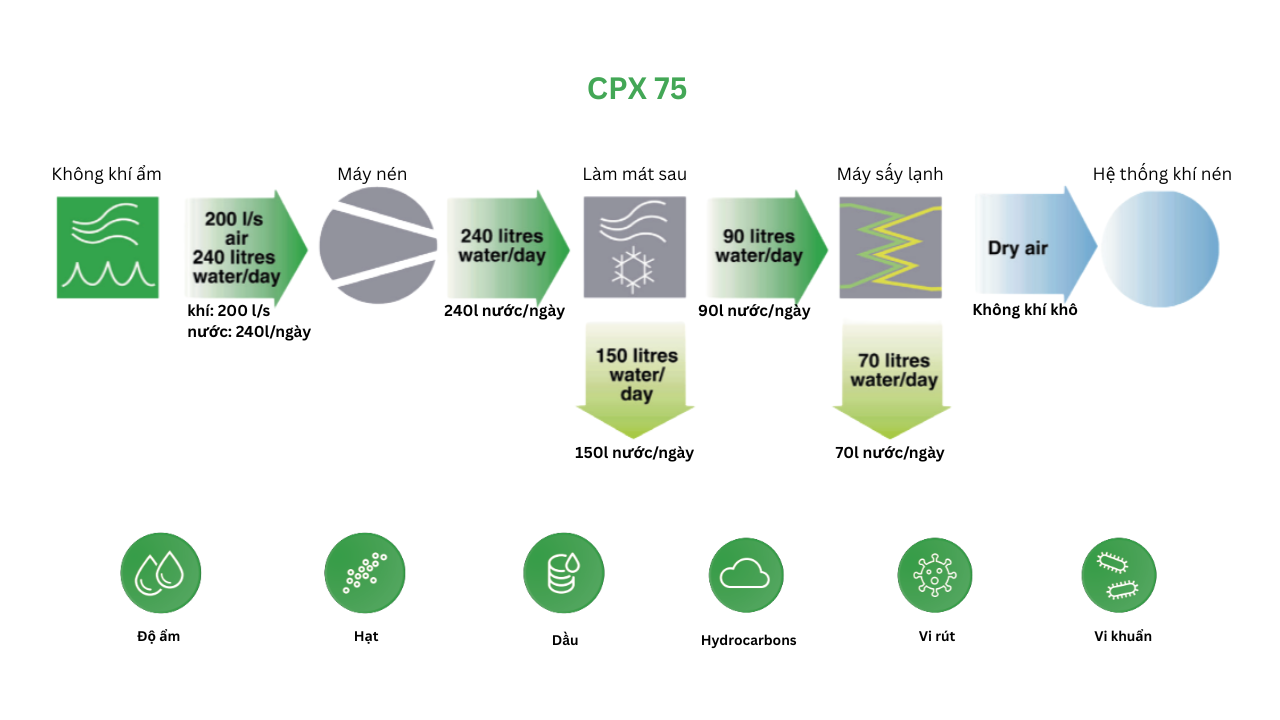 máy sấy khí chicago cpx 75