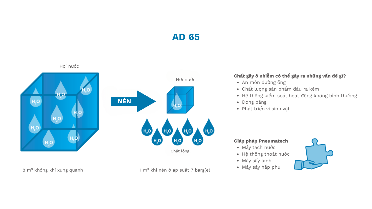 máy sấy khí pneumatech ad 65