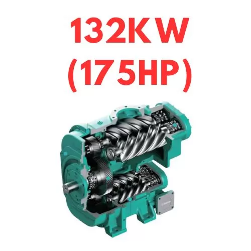 Trục vít hai cấp 132kw (175hp)