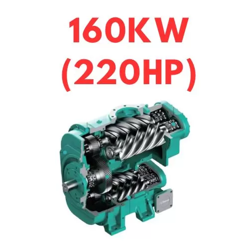 Trục vít hai cấp 160kw (220hp)