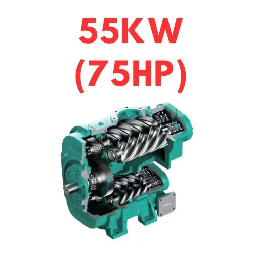Trục vít hai cấp 55kw (75hp)