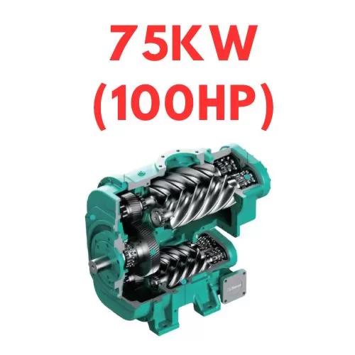 Trục vít hai cấp 75kw (100hp)