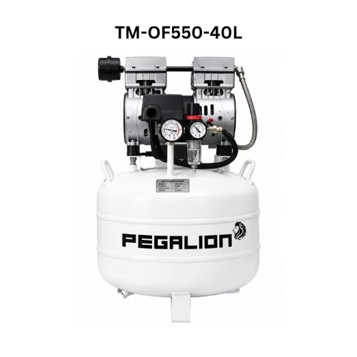 Máy nén khí không dầu Pegalion (Pegasus) 0.75HP, 220V, 8bar,  TM-OF550-40L