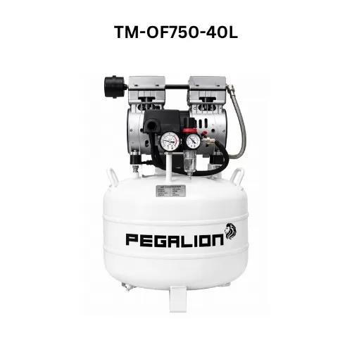 Máy nén khí không dầu Pegalion (Pegasus) 1HP, 220V, 8bar, TM-OF750-40L